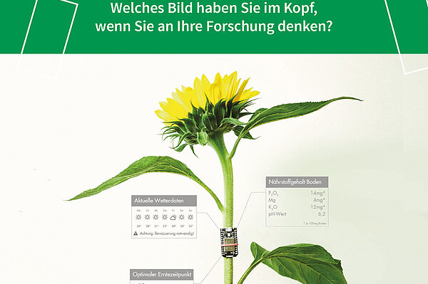 Plakat Fotomontage einer Sonnenblume mit Sensoren